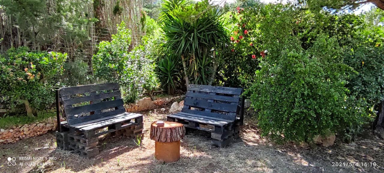 بورتو كونتي B&B Mareva المظهر الخارجي الصورة